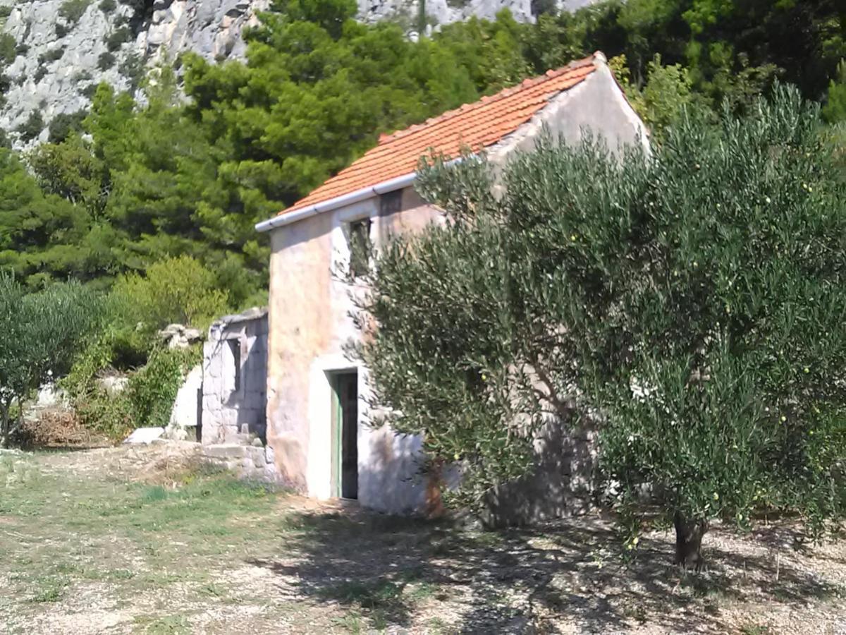 Zorana Apartment Mimice Exterior foto